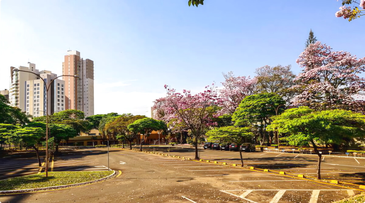 Onze autoverhuurservices bieden een gevarieerde selectie van voertuigen in Londrina.